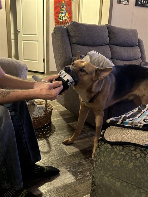 When in doubt run to dad, he has no clue mama just said no lol 😂 : r ...