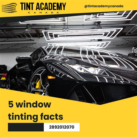 Window Tinting Secrets 的图像结果