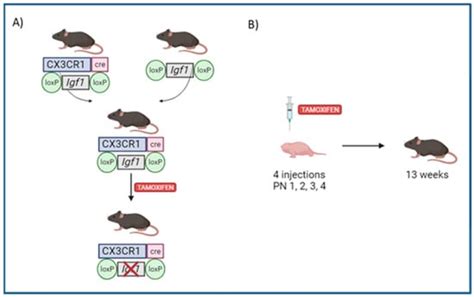 Cells | Special Issue : Microglia in Neurological Diseases