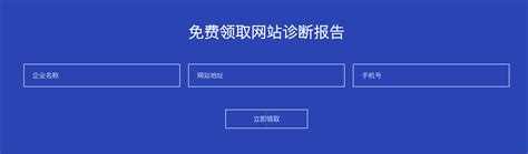 seo网站诊断分析Word模板下载_编号qaeoryge_熊猫办公
