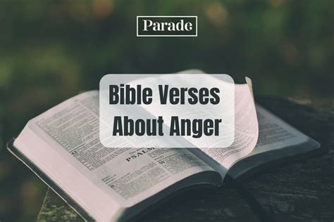 Image result for Scriptures About Anger