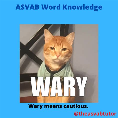 The ASVAB Tutor Presents a Video for the Word "Wary" - The ASVAB Tutor