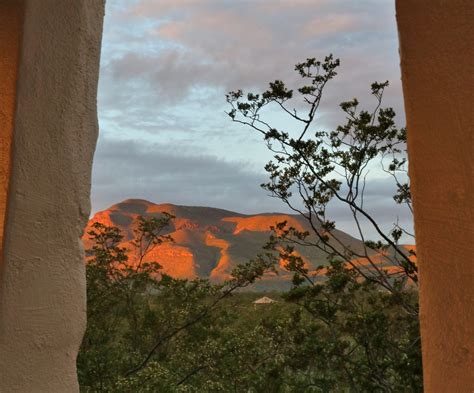 Leasburg Dam State Park - State Parks