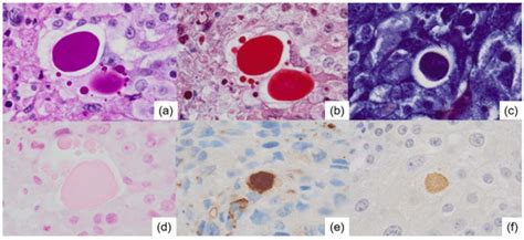 Diagnostics | An Open Access Journal from MDPI