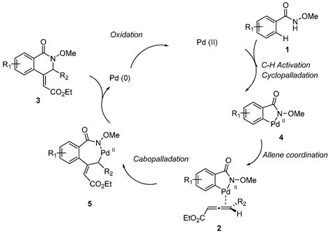 Synthesis of Isoquinolinones via Regioselective Palladium-Catalyzed C–H ...