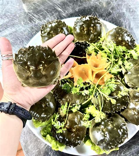 AMBIL SEKARANG