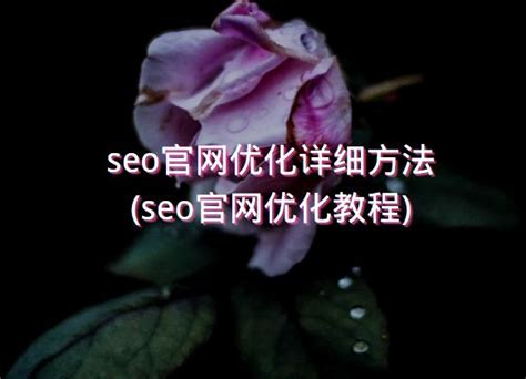 seo内部优化基本步骤有哪些，seo官网优化详细方法 - 长城号