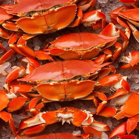 Dungeness Crab Clusters vs Snow Crab: A Comparison of Characteristics ...