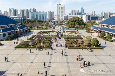 (武汉市)武昌区2020年国民经济和社会发展统计公报-红黑统计公报库