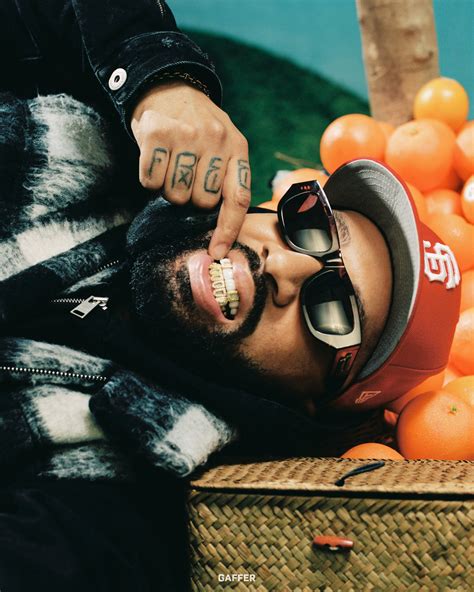 Tutorial Gaffer 的图像结果