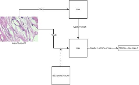 Enhancing Histopathological Image Classification Performance through ...