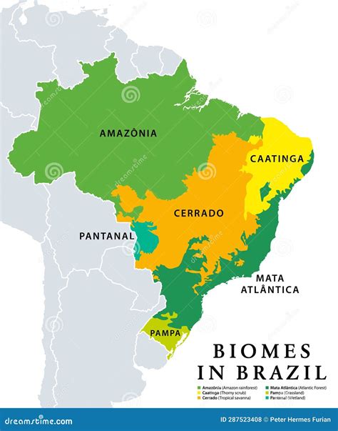 Biomes In Brazil, Map Of Six Ecosystems With Natural Vegetation Vector Illustration ...