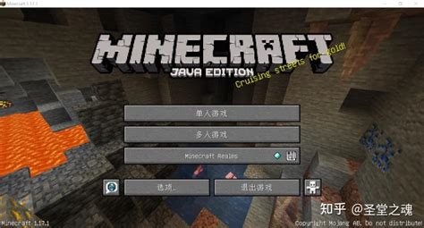 MCLauncher Tutorial 的图像结果