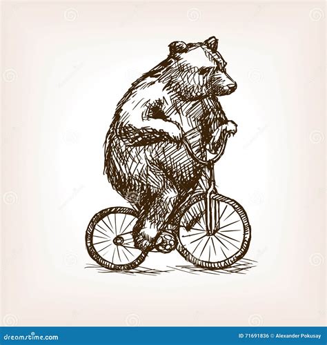 Circus Bear on Bicycle Hand Drawn Sketch Vector Stock Vector - Illustration of black, bear: 71691836