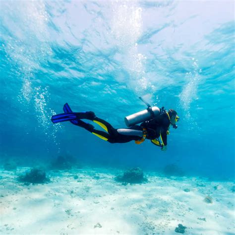 海南三亚：潜水享假期-新华网