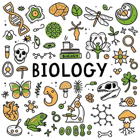Biology Science Clip Art 的图像结果