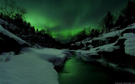 Microsoft Desktop Backgrounds 的图像结果