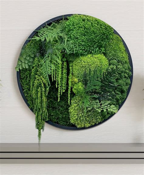 Moss wall art preserved moss round art circular art living wall – Artofit