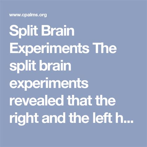 Contact Split Brain Behavioral Experiments 的图像结果