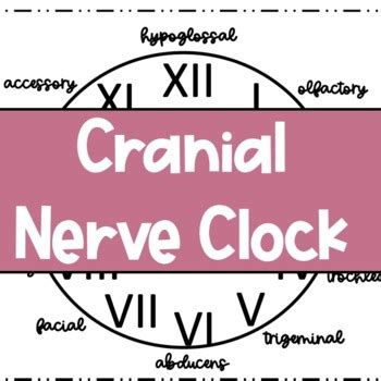 Speechie Q - Quanasia Teaching Resources | Teachers Pay Teachers