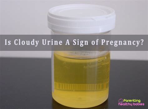 Is Cloudy Urine A sign of Pregnancy?