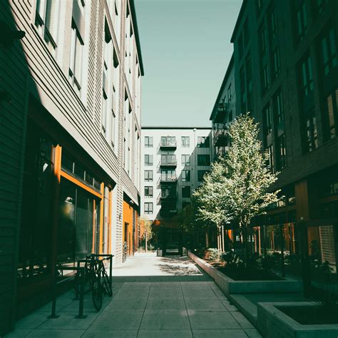 Image result for Stream High Definition