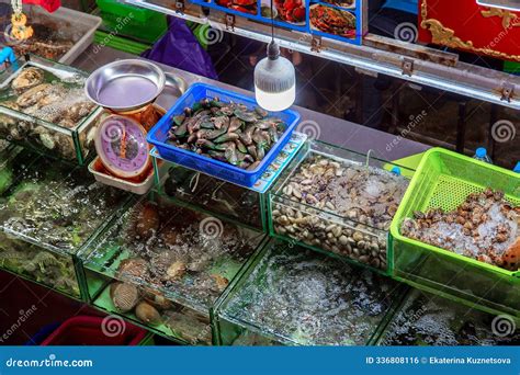 Aquariums with Various Live Sea Reptiles at the Asian Night Market Stock Photo - Image of marine ...