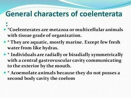 general characters of coelentrata - Brainly.in