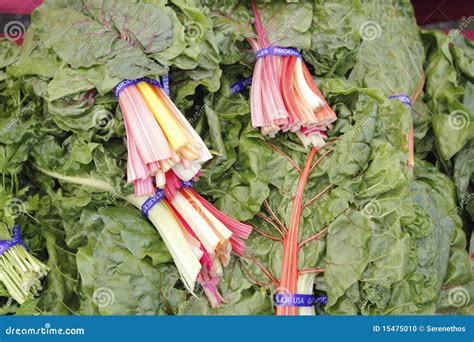 Swiss Chard Rainbow Bundles Stock Photo - Image of healthy, close: 15475010
