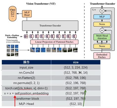 Diffusion Transformer 的图像结果