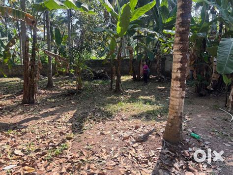 Prime Plot Prime plot for Sale in Muttada, Trivandrum - 15 Cents ...