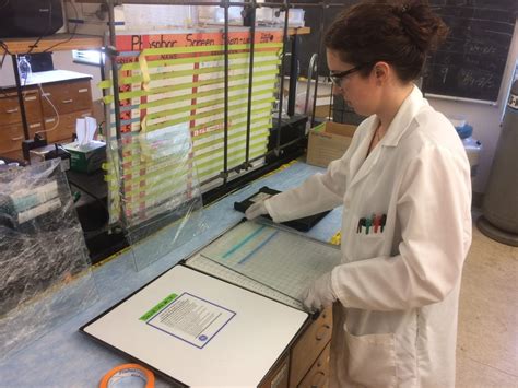 David Lab 的图像结果