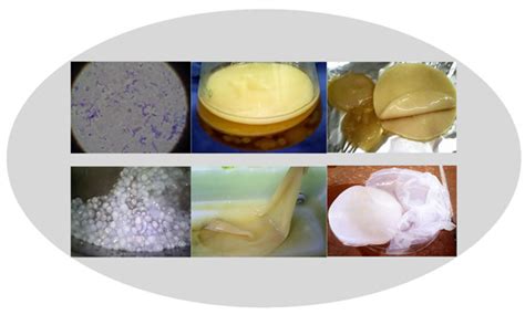 Bacterial Cellulose Production from Industrial Waste and by-Product Streams