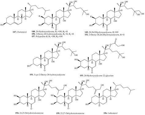 Quinoa Secondary Metabolites and Their Biological Activities or Functions