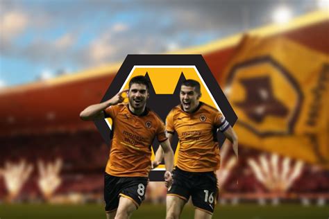 Image result for Wolves Goals and Reactions