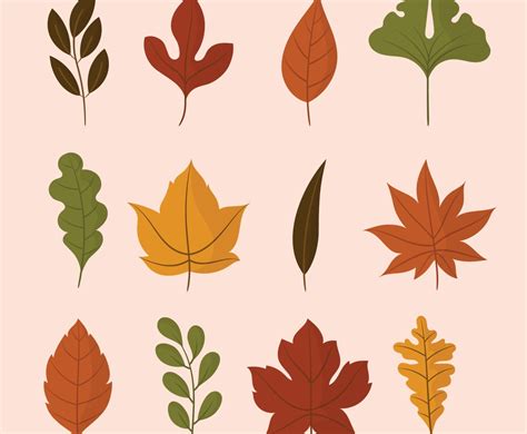 Image result for Fall Vector