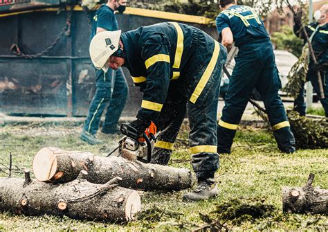 Managing Leaning Trees Safely with Professional Tree Removal
