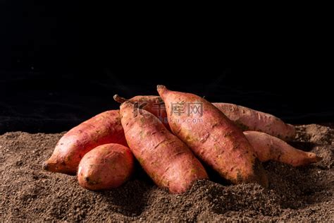 美食白天一堆红薯土地摆放摄影图配图高清摄影大图-千库网