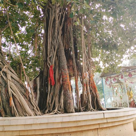 Jyotisar - The Birth Place of Gita, Josar - Tripadvisor