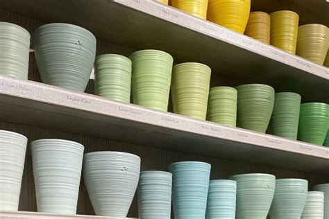 Image result for Types of Plant Containers