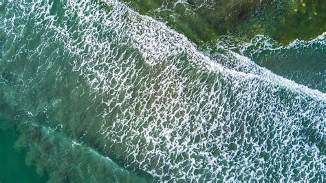 Find a Professional — Arbitrators' and Mediators' Institute of New Zealand