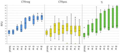 An Advanced Human Bone Tissue Culture Model for the Assessment of ...