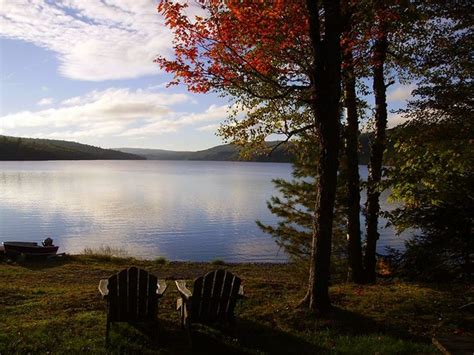 Wilderness Pines Campground Maine: Your Rustic Escape