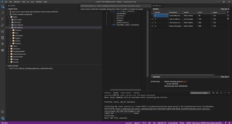 vs Code SQL Database 的图像结果