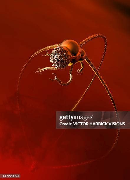 Image result for Alien Tripod Song
