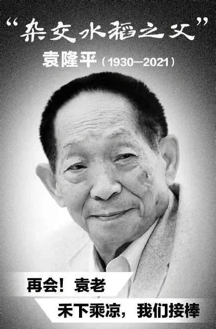 袁隆平逝世 享年91岁 - 哔哩哔哩