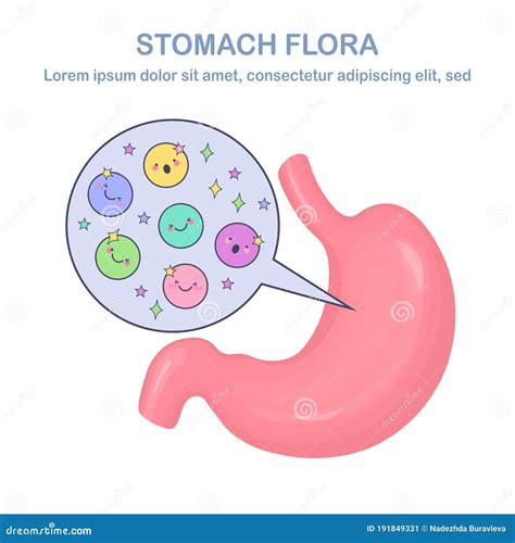 Stomach Flora. Digestive System, Tract with Cute Good Bacteria, Virus, Microorganisms ...