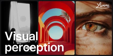 Visual Perception Meaning 的图像结果