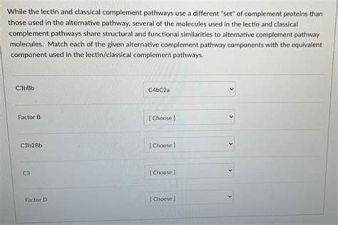 Image result for Complement Pathways