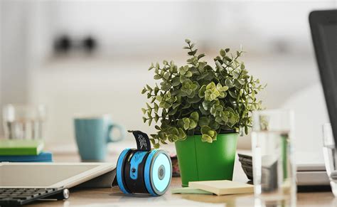 Image result for Personal Assistant Robot